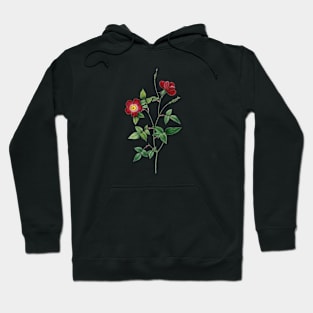 Tiny Red Rose Flower Botanical Illustration Hoodie